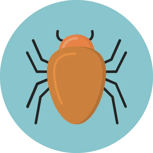 Bug