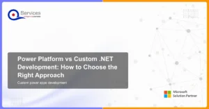 custom power apps development